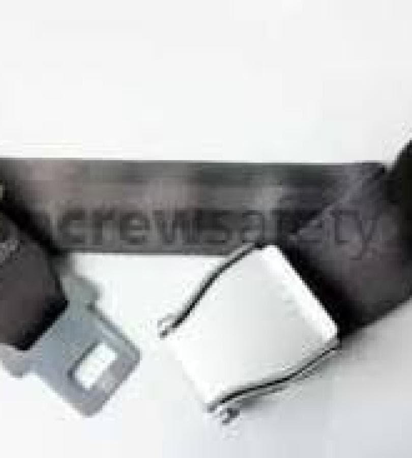 2010-5-011-1169 LOOP EXT ASSY
