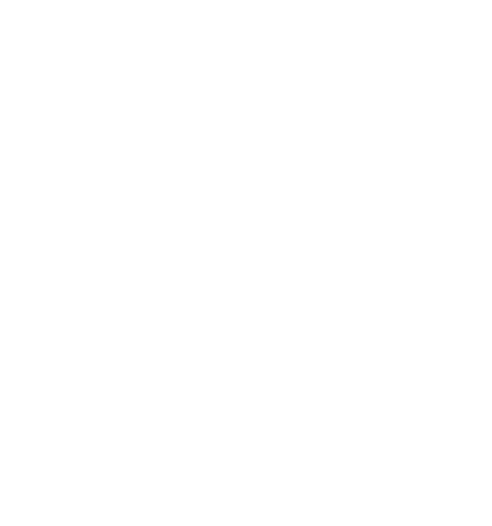 Angad Aviation Logo